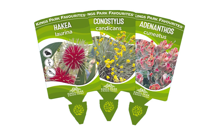 Kings Park Favourites