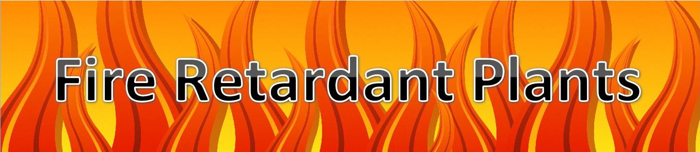 Fire Retardant Plants banner image